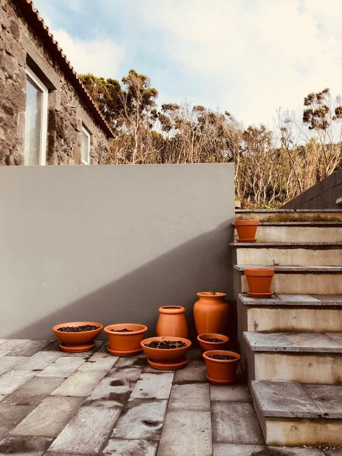 בית הארחה מדלנה 	Casa D'Avo Francisco מראה חיצוני תמונה